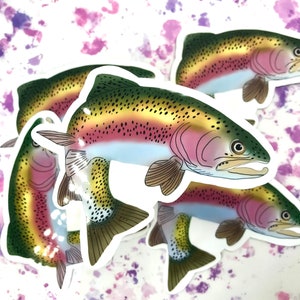Rainbow Trout Fish Sticker | Fish Sticker | Fishing Stickers | Gift for him | Gift for her | Car Stickers | 307 Rainbow Trout Decal