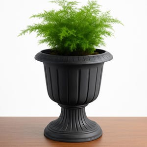 Peut inclure: Une plante verte luxuriante, au feuillage fin et plumeux, est placée dans un pot noir en forme d'urne ornée. Le pot présente un design cannelé et un socle. La plante et le pot sont sur une surface en bois sur fond blanc.