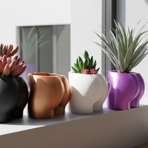 May include: Four decorative planters shaped like a human rear end, each holding a different succulent plant. The planters are black, copper, white, and purple. The plants have green and red leaves. The planters are on a white windowsill.
