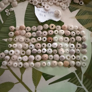 May include: A collection of small, natural shell puka beads in various shades of white, cream, and tan. The beads are arranged on a green and white patterned surface. A handwritten note reads "100 Shell Puka 4/1 A".