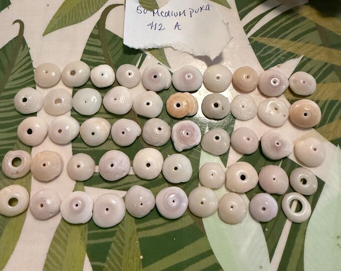 50 Medium Sized Puka Shells Handpicked From Hawaii Beaches for Jewelry ...