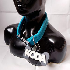 Pu&ograve; includere: Un collare per cani blu turchese con un'etichetta a forma di osso che dice "KODA" in lettere bianche.