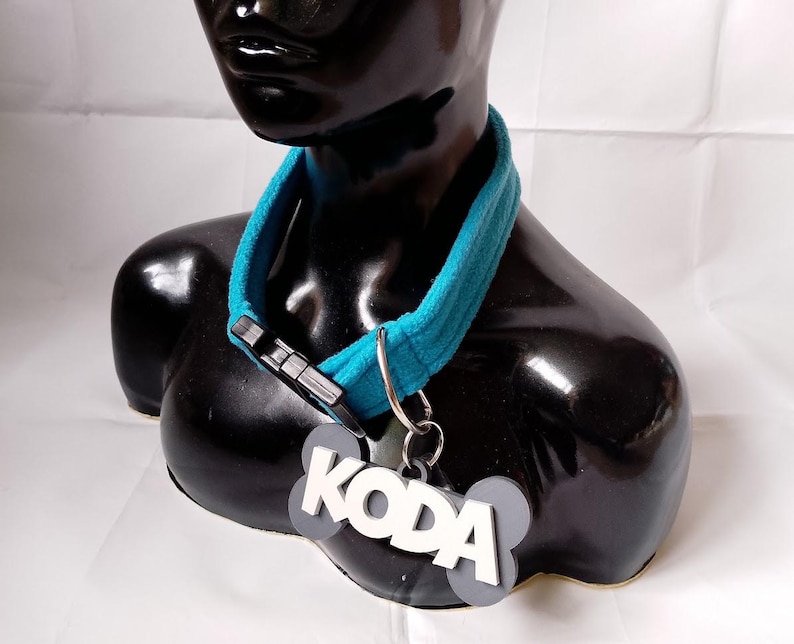 Pu&ograve; includere: Un collare per cani blu turchese con un'etichetta a forma di osso che dice "KODA" in lettere bianche.