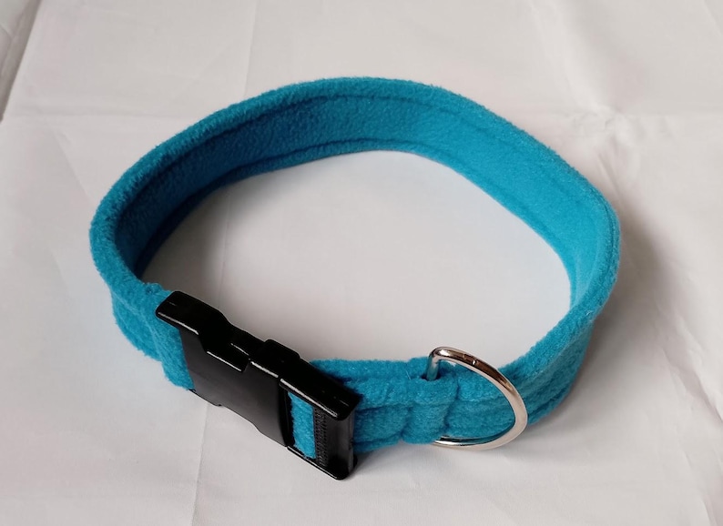 Pu&ograve; includere: Un collare per cani blu turchese con una fibbia in plastica nera e un anello a D in metallo argentato.