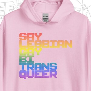 Say LGBTQ Hoodie 100% Profits Fight Don&#39;t Say Gay Bills Love Is Love LGBTQ Pride LGBT Ally Hoodie by The Tee Service