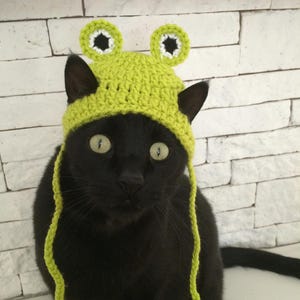Frog Cat Hat, Crochet Froggy Beanie Hat for Cats, Frog Cat Costume Photo Prop