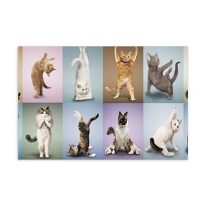 Carte postale de chat, Carte de yoga pour chat, Carte de chat drôle, Carte de maman de chat, Carte de papa de chat