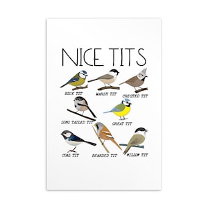 Carte postale Nice Tits, Carte Nice Tits, Carte d’anniversaire Birder, Carte Ornithologue, Carte postale Bird Lover