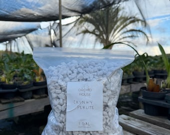 Super Chunky Perlite | Large Perlite Extra Course | Sponge Rock