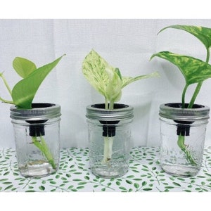 Propagation Funnel/Plant Tool/Mason Jar Plant Support *Jar Not Included*