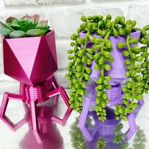 Virus Planter Phage Planter Biology Planter Perfect gift for Teachers Air plants and Succulent Planters Pen Holder/Catch All image 1