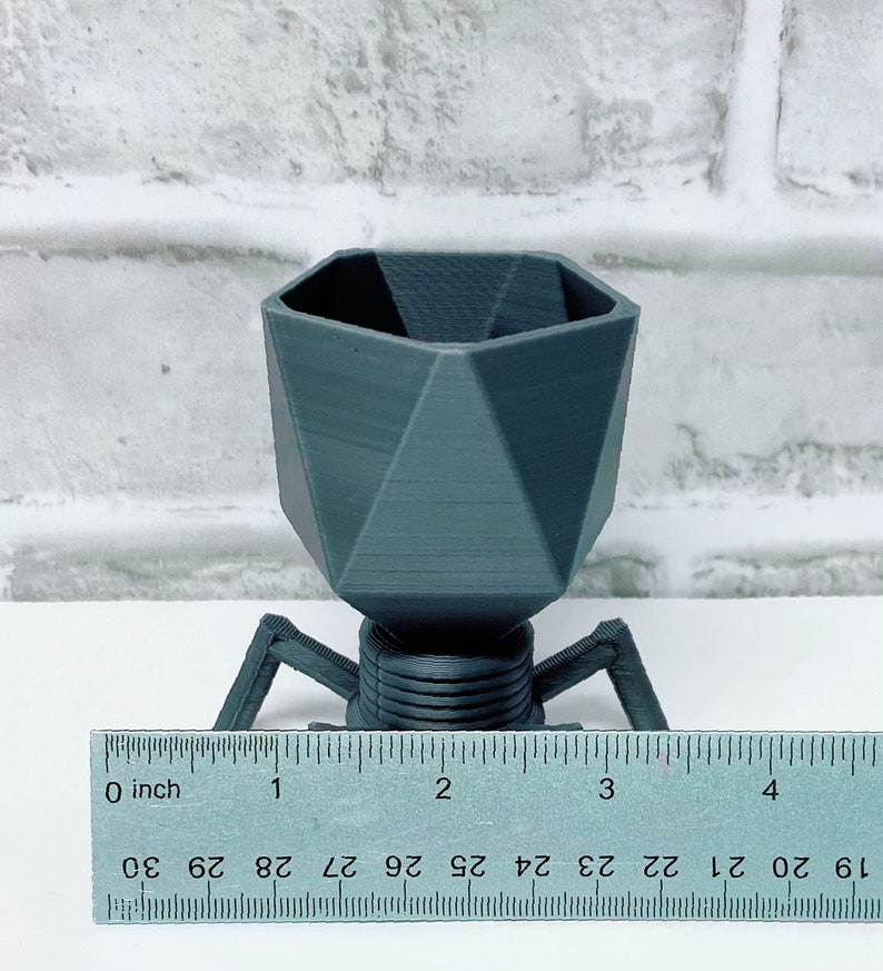 Virus Planter Phage Planter Biology Planter Perfect gift for Teachers Air plants and Succulent Planters Pen Holder/Catch All image 4