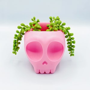 Skull Planter - Skull Houseplant Pot - Cute Skull Succulent Planter - Perfect Gift For Halloween and Plant Lovers!