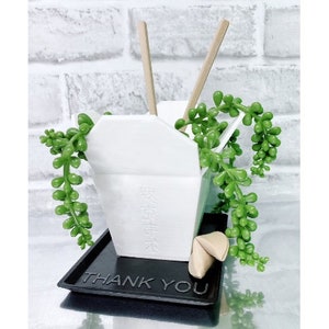 Chinese Takeout Planter - Takeout Planter - Chinese Takeout Catch All - Takeout Vase - For Plants or Just to Collect Your Trinkets!