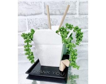 Chinese Takeout Planter - Takeout Planter - Chinese Takeout Catch All - Takeout Vase - For Plants or Just to Collect Your Trinkets!