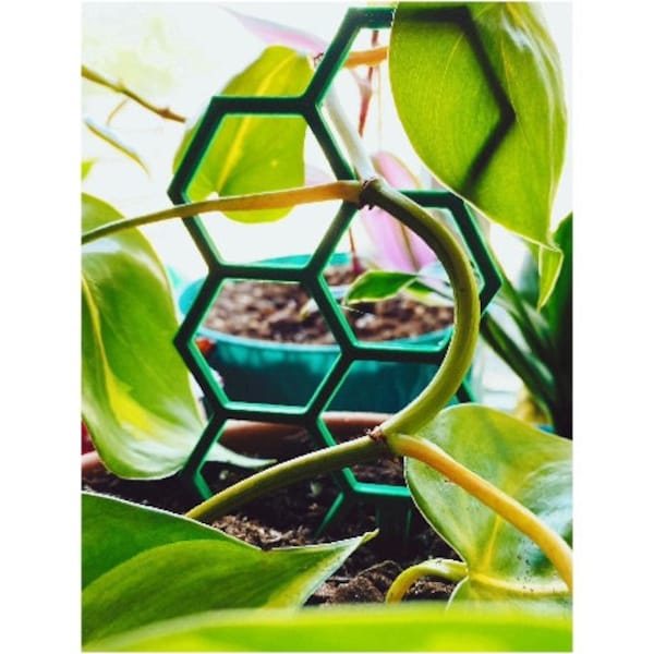 Par de mini enrejados de plantas en macetas/2 soportes de plantas hexagonales/Mini enrejado impreso en 3D x2/Par de enrejados de panal