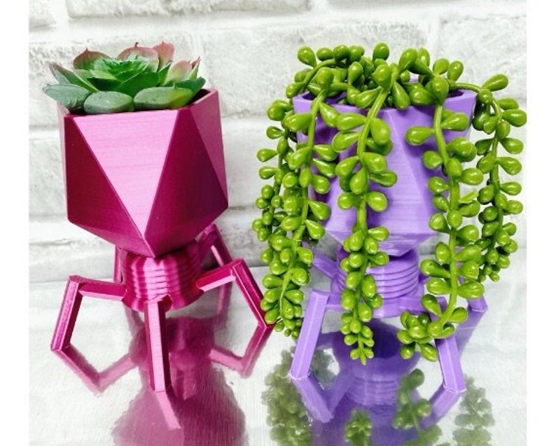 Virus Planter Phage Planter Biology Planter Perfect gift for Teachers Air plants and Succulent Planters Pen Holder/Catch All image 1