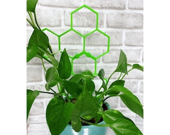 Indoor Plant Trellis - Potted Plant Trellis - New Design! Sturdier and Easier to Use