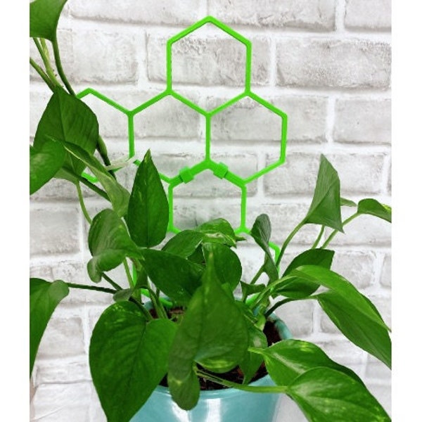 Indoor Plant Trellis - Potted Plant Trellis - New Design! Sturdier and Easier to Use