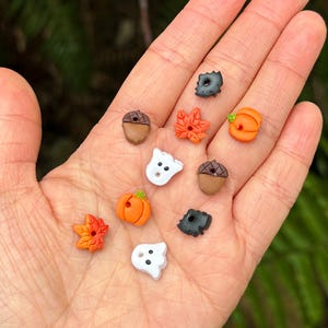 May include: A collection of small, seasonal-themed beads in various shapes including orange pumpkins, brown acorns, white ghosts, orange maple leaves, and black leaves. Each bead features a small hole for threading, showcasing autumn and Halloween motifs.