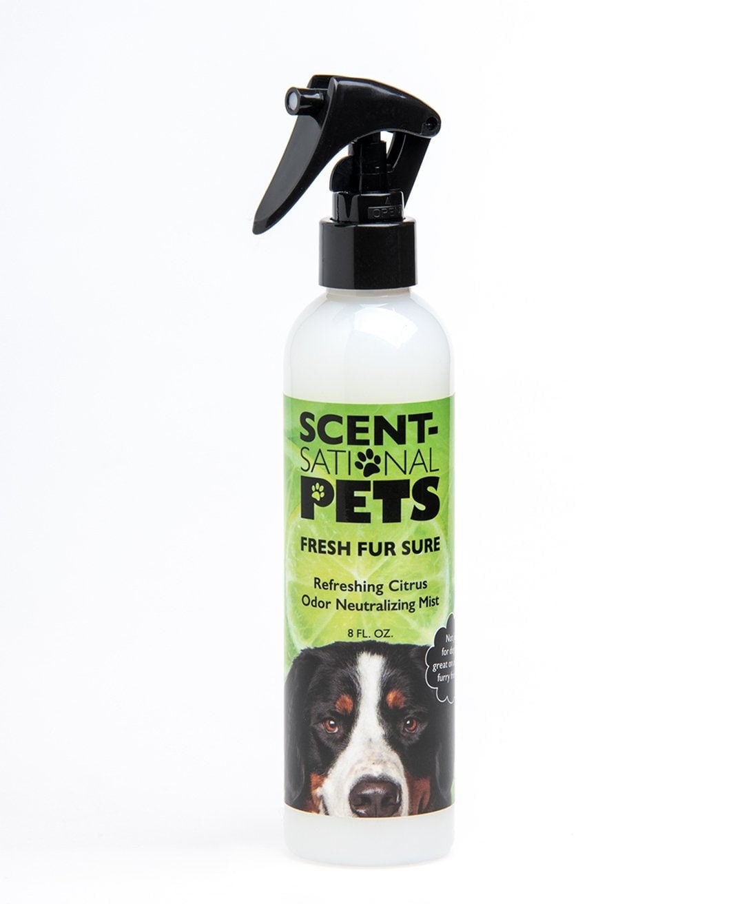 Citrus pet spray dog spray dog conditioner odor neutralizer Etsy