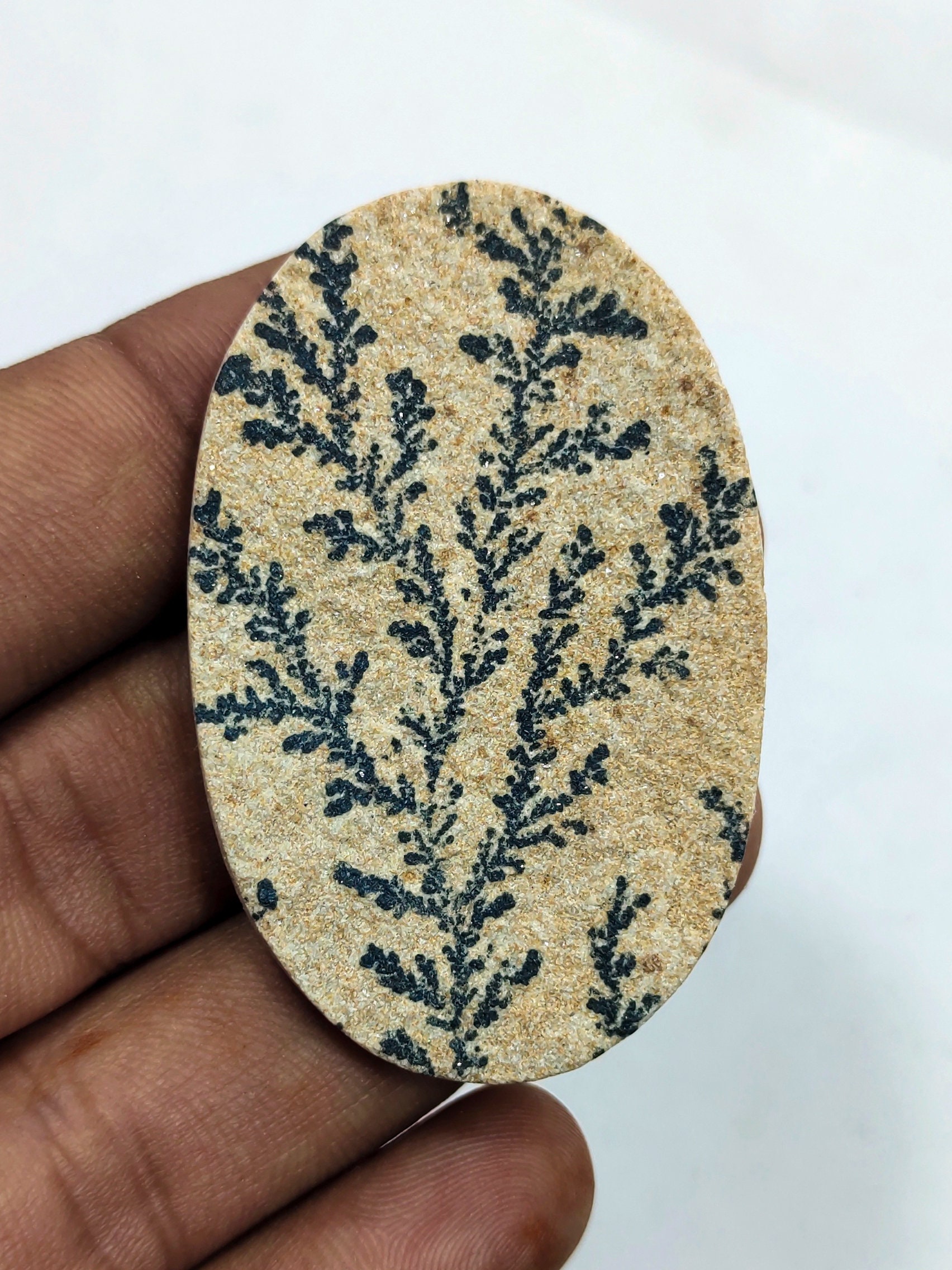 dendrite stone meaning dendrite stone meaning