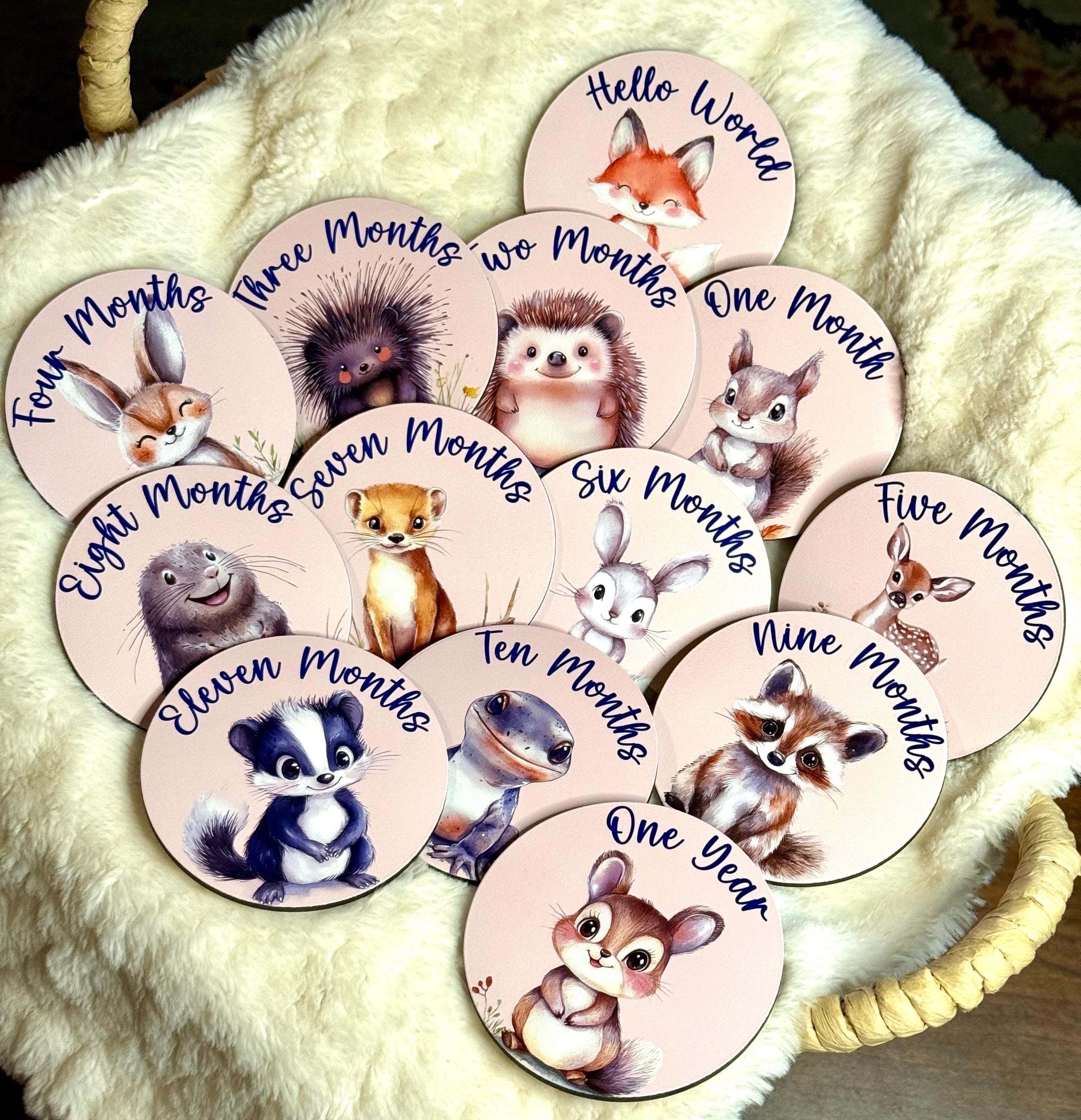 Woodland Animals Themed Baby Milestone Discs – Monthly Milestone ...
