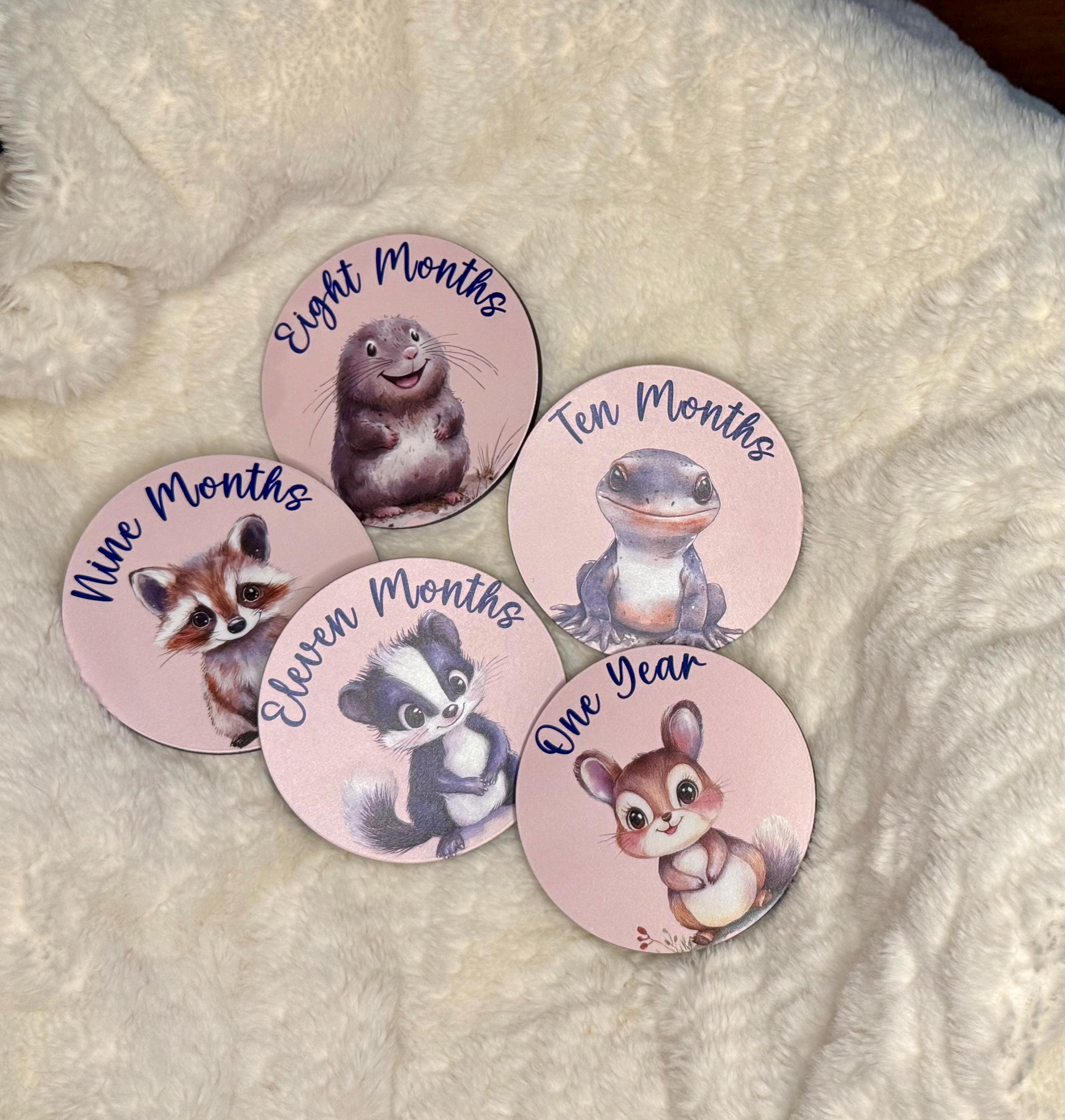 Woodland Animals Themed Baby Milestone Discs – Monthly Milestone ...
