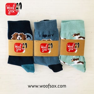 Springer Spaniel Socks