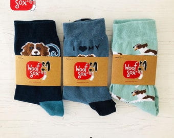 Springer Spaniel Socks