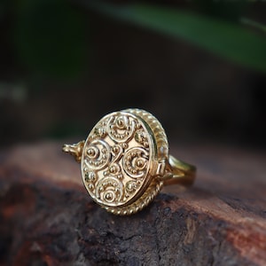 geheimer Gift Ring -vergoldeter Gift Ring, einzigartiger Gift Ring, geheime Nachricht Ring, Schmuck, Gift Ring, Geschenkartikel, Pillendose Ring
