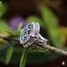 VISHWAS SILVER JEWELARS