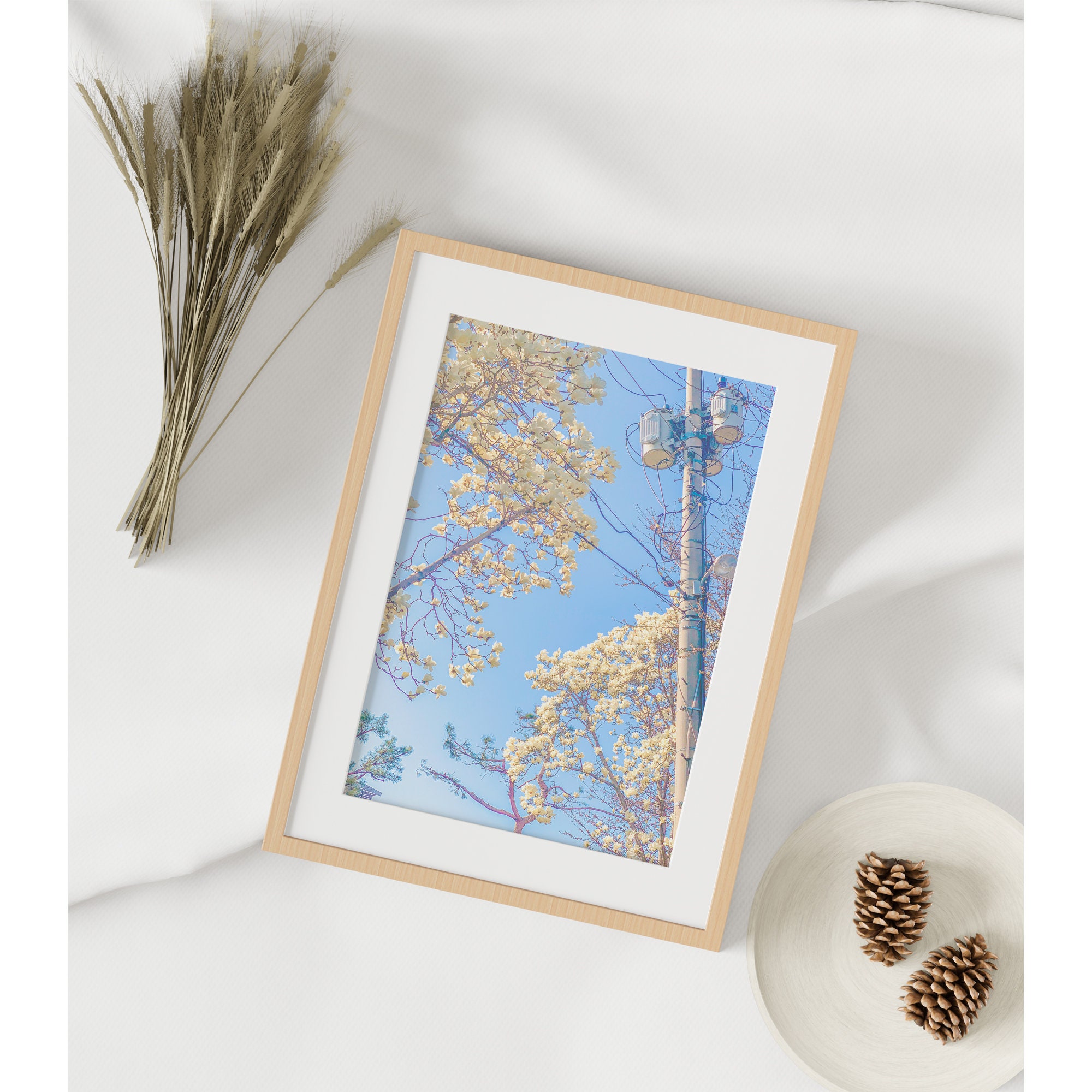 Room Décor Wall Art Living Room Prints Flower Print | Etsy