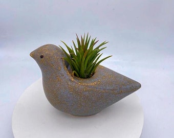 Bird Planter with Succulent | Bird Planter with Air Plant