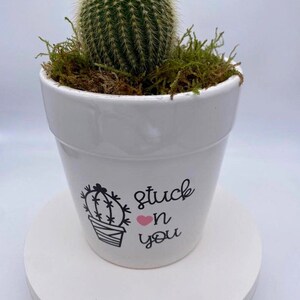 Stuck on You Planter | Succulent Valentines Gift | WhiteSucculent Pot