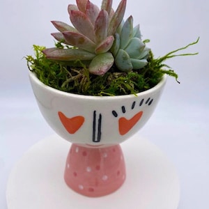 Valentines Day Heart Ceramic Planter | Succulent Valentines Gift | Ceramic Plant Pot | Heart Eyes Pot