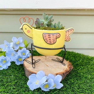 Spring Chick Pot with Live Succulent | Spring Easter Decor | Cute Easter Decor