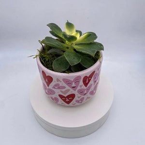 Valentines Day Heart Ceramic Planter | Succulent Valentines Gift | Ceramic Plant Pot | Pink Heart Pot