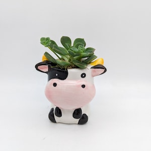 Cow Planter with Succulent | Animal Planter with Live Plant | Succulent Gift in Animal Planter