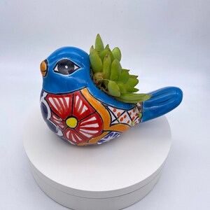Blue  Bird Talavera Succulent Planter | Mexican Ceramic Pottery with Live Plant