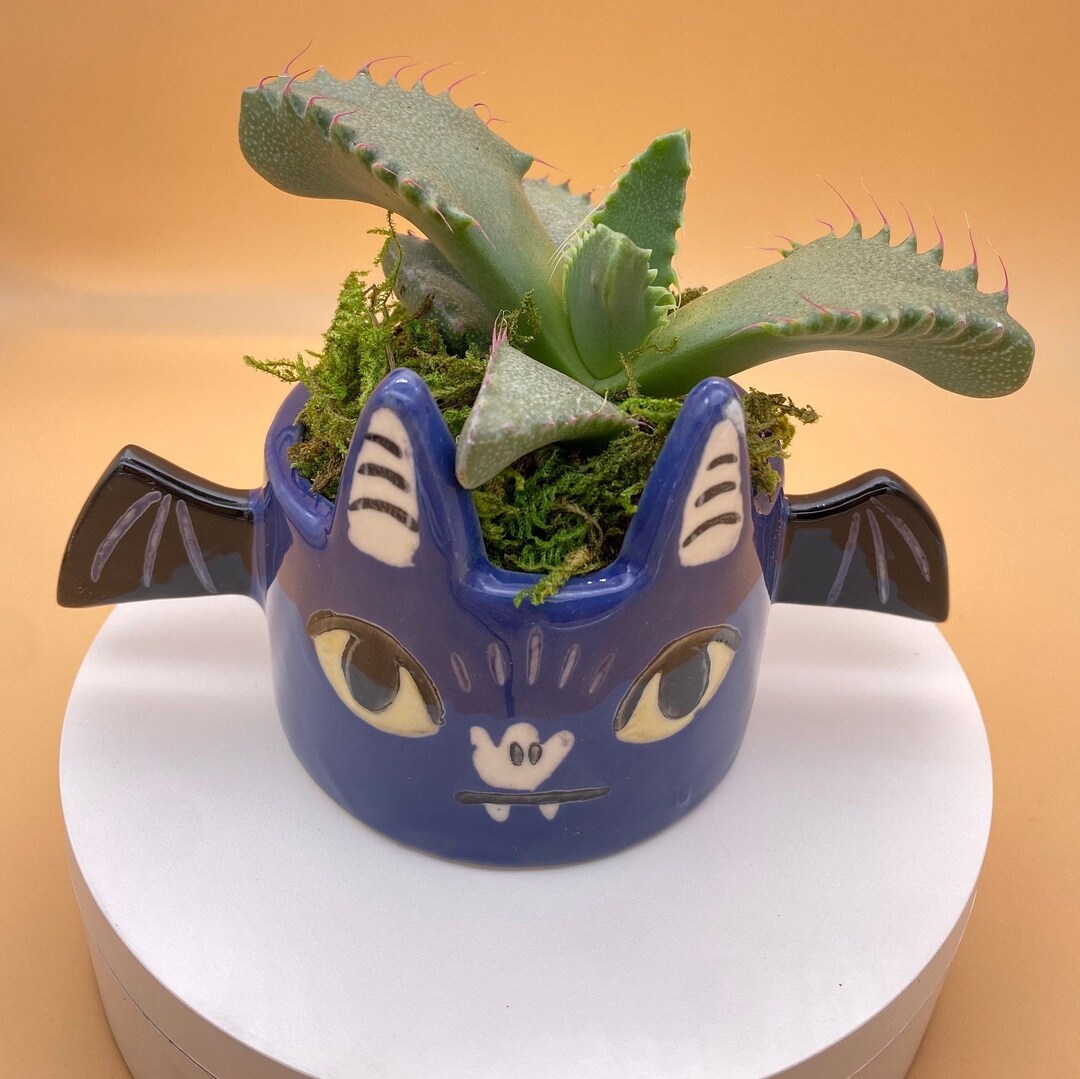 Mini Bat Planter With Live Airplant Mini Succulent Pot Etsy