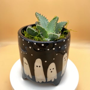 May include: A black ceramic planter with white polka dots and ghost silhouettes. The planter has three small feet and is filled with a green succulent plant.