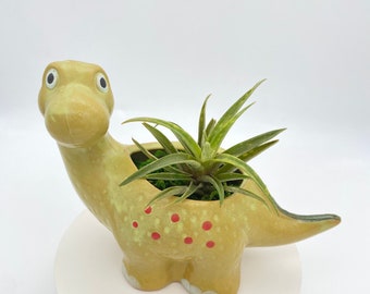 Cute Ceramic Dinosaur  Planter | Ceramic Planter for Air plant | Animal Planter with  Plant | Succulent Gift in Animal Planter