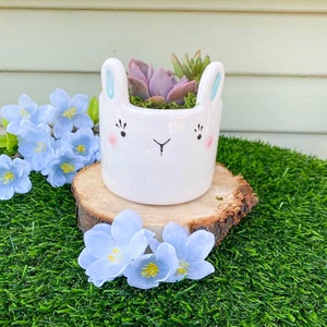 Easter Bunny Planter with Live Succulent | Spring Easter Decor | Cute Easter Decor