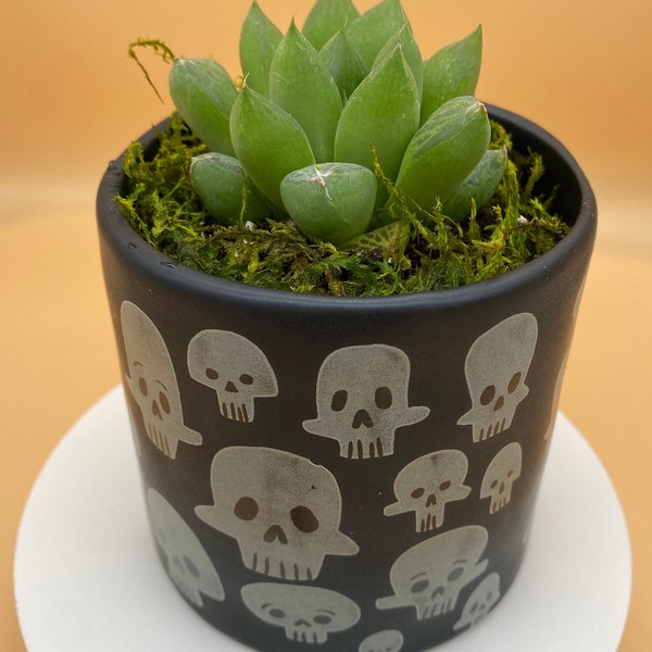 Black Spooky Calaca  Pot | Succulent & Air Plant Halloween Gift | Skull Planter | Succulent Pot