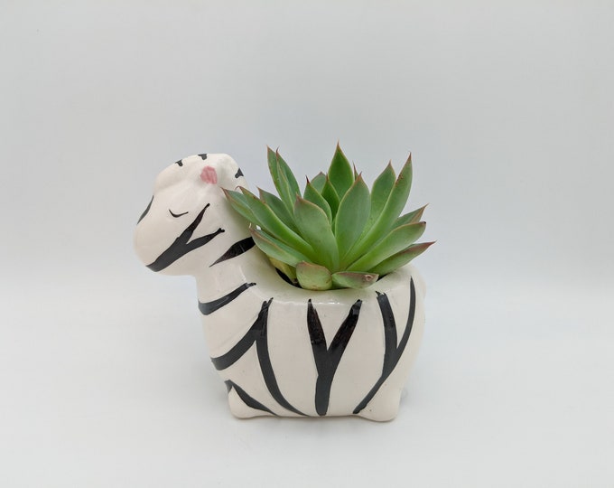 Zebra Planter with Succulent | Animal Planter with Live Plant | Succulent Gift in Animal Planter