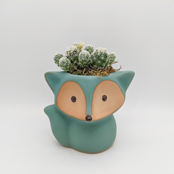 Fox Planter with Succulent | Animal Planter with Live Plant | Succulent Gift in Animal Planter