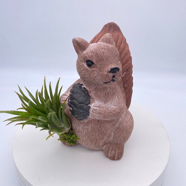 Cement  Squirrel Plant Holder | Squirrel Air Plant Holder | Succulent Pot