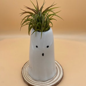 Halloween Ghost Ceramic Air Plant Holder | Spooky Planter With Live Or Artificial Air Plant.