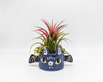 Halloween Bat Decor with Live Air-plant